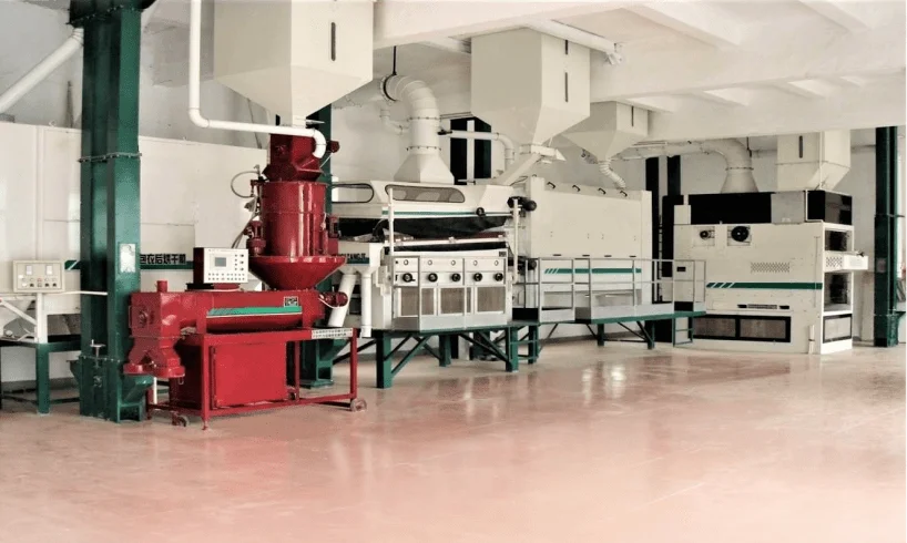 Complete Seed Plant